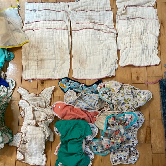clotheez Accessories Used Clotheez And Thirsties Diaper Haul